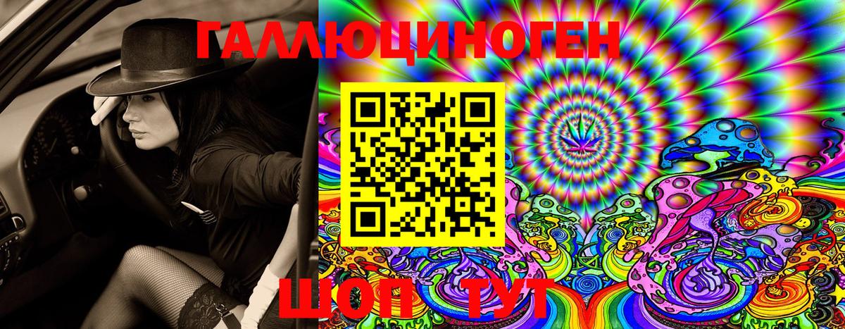 Галлюциногенные грибы Cubensis Медногорск