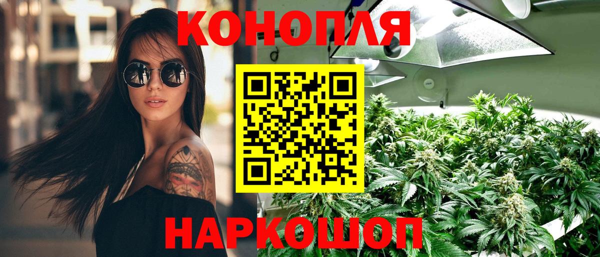 Канабис Bruce Banner  МАРИХУАНА сатива  Бошки марихуана марихуана  Вход с VPN  Медногорск 